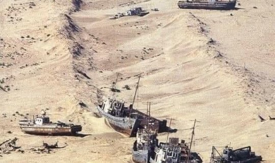 Türk ölkələri Aral gölünün qurumasını araşdıracaqlar