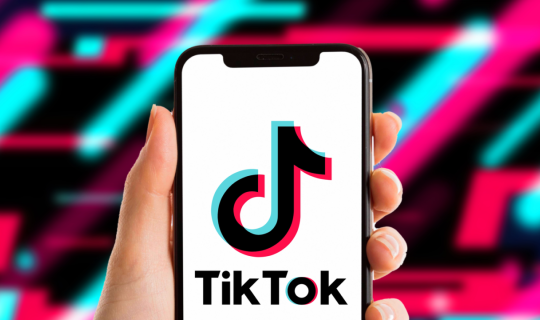 Tiktokda canlı yayımda anası tərəfindən zərbə alan uşaq dövlət müəssisəsinə yerləşdirilib