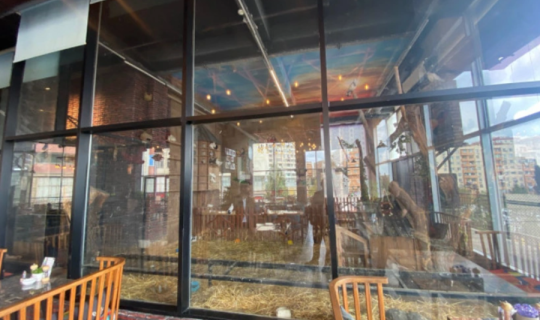 Xətaidə vəhşi heyvanların qanunsuz saxlanıldığı restorana xəbərdarlıq edildi