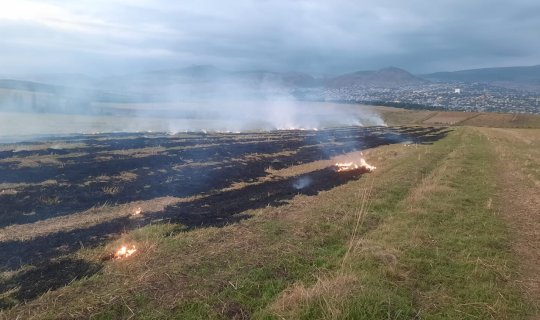 Törətdiyi əməllə 1 hektar əkin sahəsi yandı - FOTO