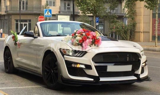 Toy karvanında hərəkət edənlərə XƏBƏRDARLIQ