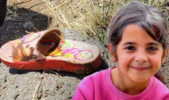 Narin cinayəti ilə bağlı həbs edilən 3 nəfər sərbəst buraxıldı