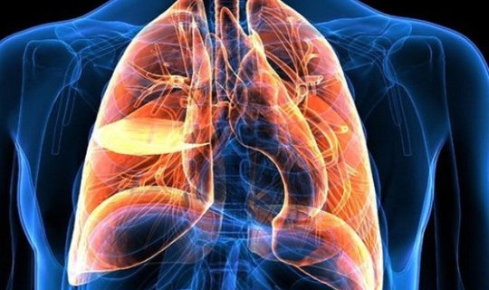 Pulmonoloqdan tövsiyə: Ağciyərləri qorumağın ən sadə üsulu