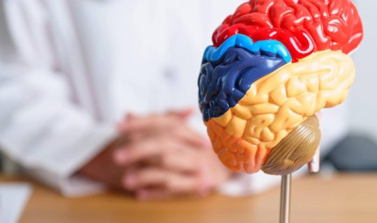 &ldquo;Qadın&rdquo; hormonu kişiləri stressdən qoruyurmuş