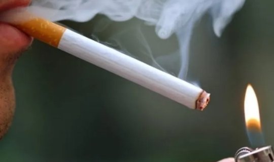 Oğurluqda şübhəli bilinən müəllim siqaretə görə HƏBS OLUNDU