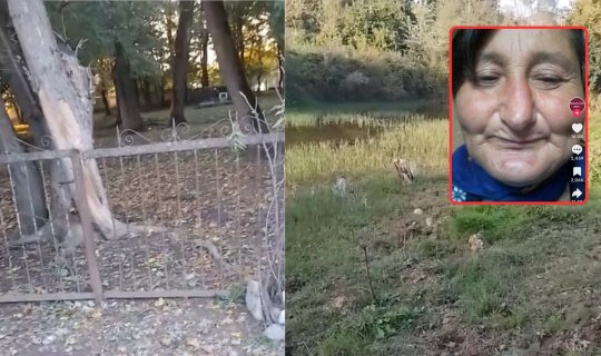 İsmayıllının Qalınçaq kənd sakininin iddiaları ilə bağlı rəsmi AÇIQLAMA