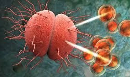 Antibiotiklərə təslim olmayan infeksiyalar güclənir