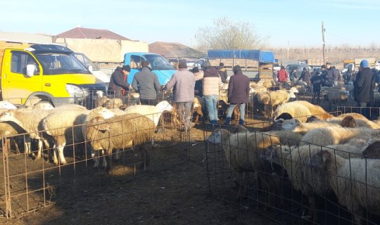 Oktyabrın 25-dən heyvan bazarlarında məhdudiyyətlər tətbiq olunacaq - RƏSMİ