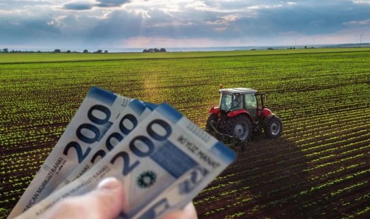 "Günü 30 manata işçi tapmaq olmur" - Çıxış yolu nədir?