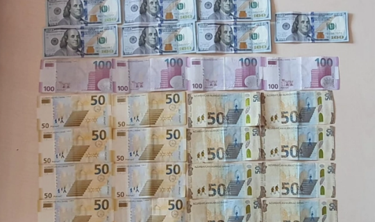 Naxçıvanda evdən oğurluq etməkdə şübhəli bilinən qadın saxlanılıb
