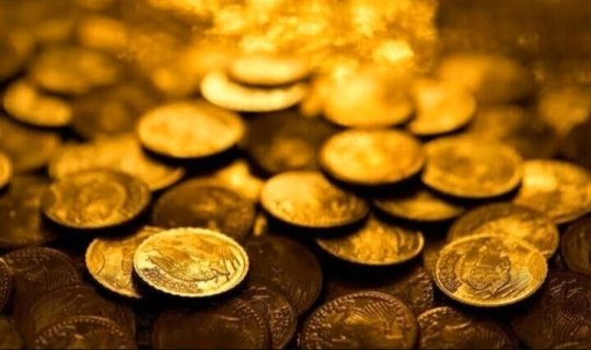 Həyətdən çıxan sərvət: Birinin dəyəri 2 milyondan çoxdur - FOTO