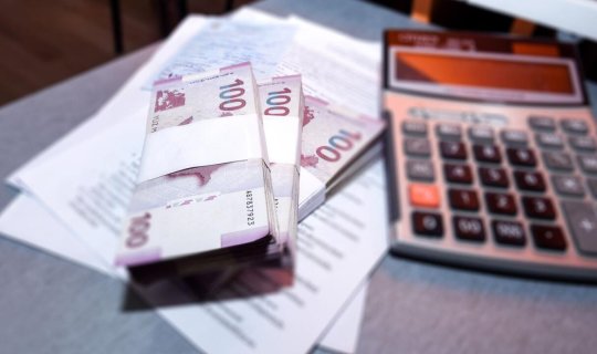 10 ayda büdcədən 280 milyon manata yaxın vəsait geri qaytarılıb