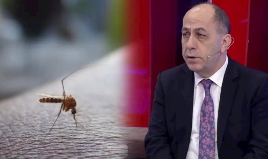 Buna görə Bakıda bu il ağcaqanad çoxdur &mdash; Adil Qeybulla