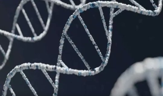 Əyləncə üçün DNT testi verən qadının həyatı məhv oldu - 50 illik sirr