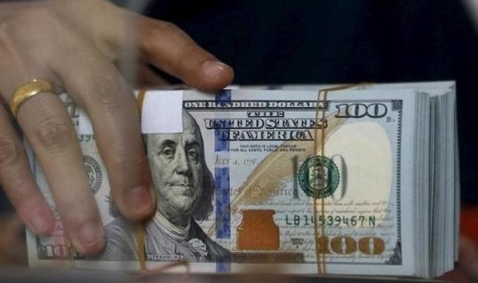 Xanım sahibkar ölkədən 200 min dollar çıxartdı