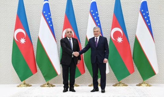 Əli Əsədov Özbəkistan Prezidenti ilə görüşüb