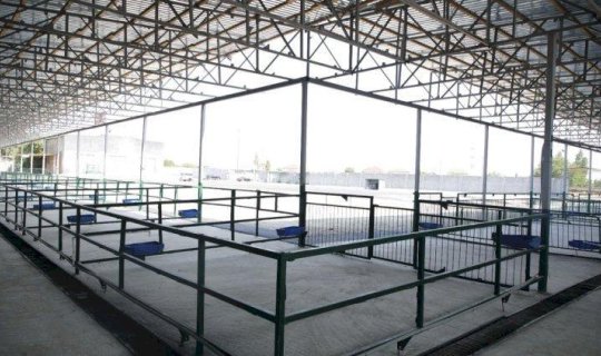 Bakıda yeni bazar fəaliyyətə başladı