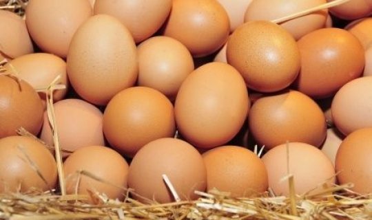 Yumurta bu səbəbdən kəskin ucuzlaşıb - AÇIQLAMA