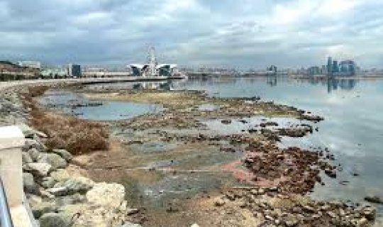 Xəzər dənizi sahillərində yeni mənzərə: Sualtı ərazilər quruya çevrilir