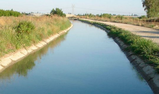 Bərdədə kanalda meyit tapıldı