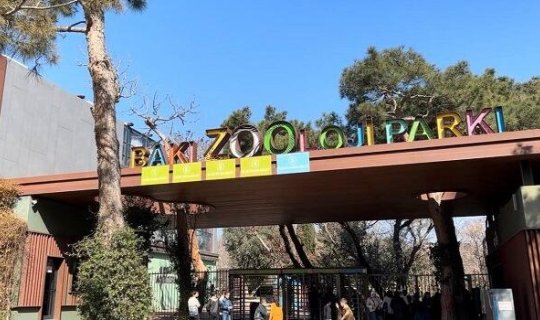 Bakı zooparkı ləğv olunur?