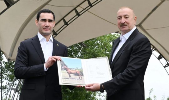 Türkmənistan Prezidentinə Qarabağ atı hədiyyə edilib