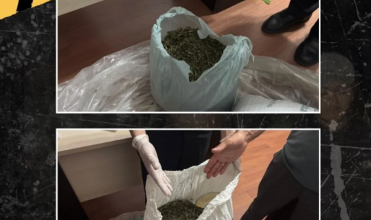 Meşədə külli miqdarda narkotik aşkarlandı