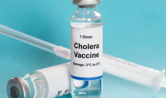 Bu ökədə&nbsp;vəba epidemiyası elan edildi