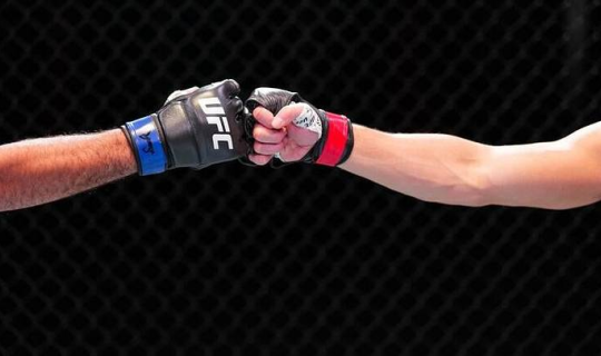 UFC Bakıda 100 min dollar bonusa 4 nəfəri layiq gördü