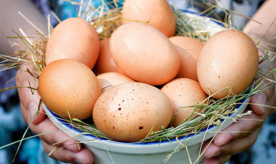 Qiymətlər rekord həddə enə bilər: Yumurta bazarında nə baş verir?