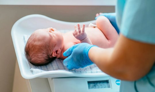 Yeni doğulan körpənin çəkisi onun gələcək intellektinə necə təsir edir? - ARAŞDIRMA