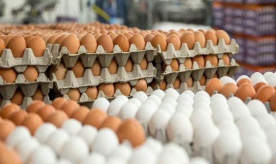Yumurtanın yeni qiyməti MƏLUM OLDU