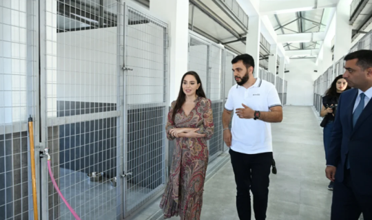 Leyla Əliyeva Yevlaxda Sahibsiz Heyvanlara Qayğı Mərkəzinin regional bölməsinin açılışında iştirak edib