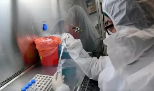 Dünyanı yeni pandemiyalar bürüyə bilər - XƏBƏRDARLIQ