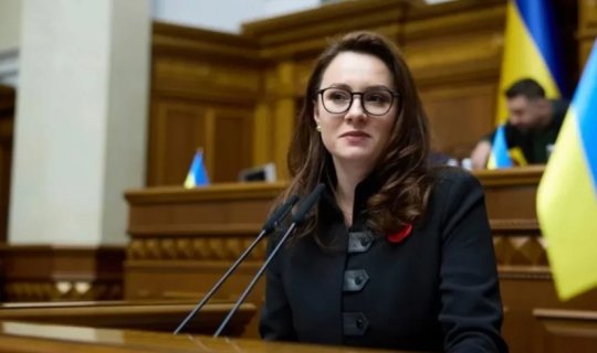Ukrayna Ali Radası Sviridenkonun istefasını dəstəkləyib