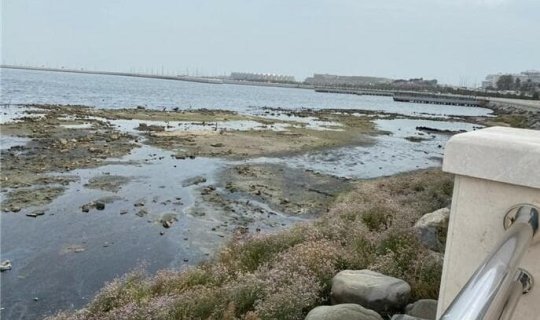 Xəzər kilometrlərlə geri çəkilir: Azərbaycana hansı təhlükələr gözlənilir?