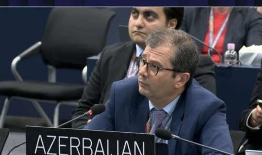 Azərbaycan UNESСO-da yeni proqram barədə elan edib
