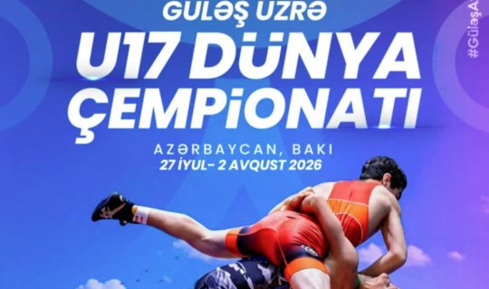 Millimizin dünya çempionatı üçün heyəti açıqlandı