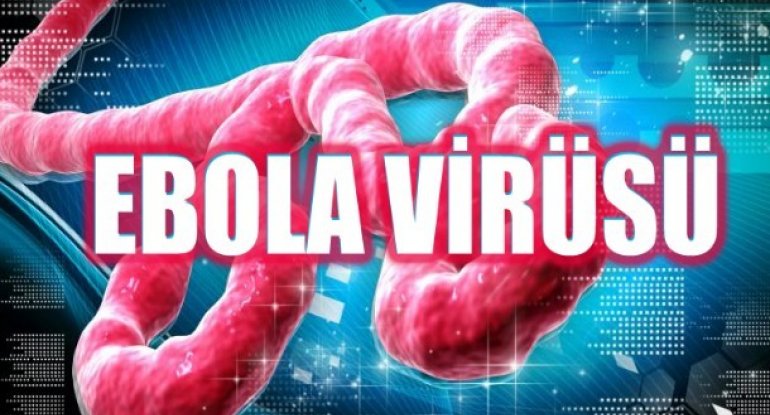 Facebook-da yeni funksiya: Ebolaya qarşı