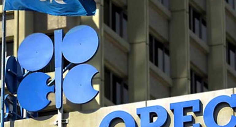 OPEC Rusiyanı məyus etdi