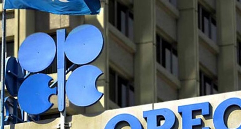 OPEC dünyanı şoka saldı
