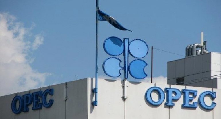 OPEC: Neftin qiyməti 30 dollara düşə bilər