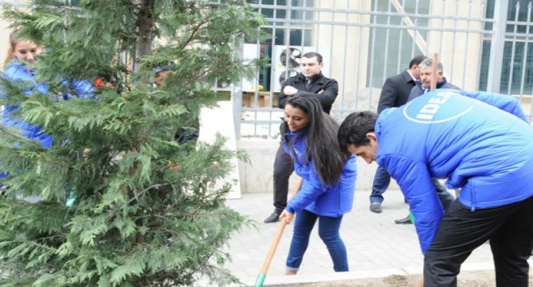 Leyla Əliyevanın təşəbbüsü ilə Bakıda yeni ağaclar əkildi