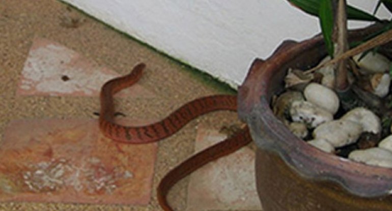 İlanı ayaqladı, ayağını sancdı