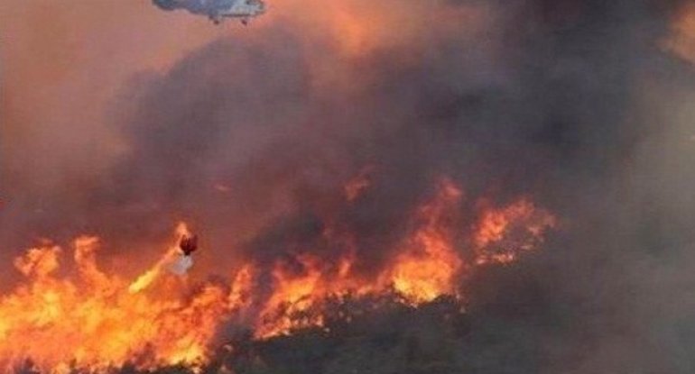 Şahdağ Milli Parkında yanğın başlayıb