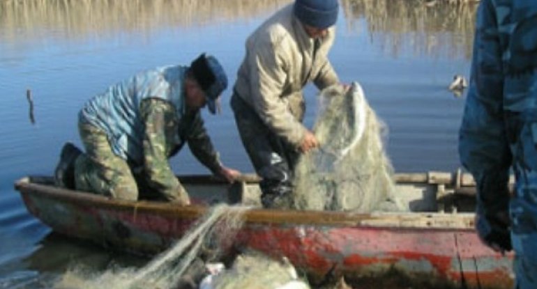 Nazirlik: Azərbaycanda qanunsuz balıq ovlayanların sayı azalıb