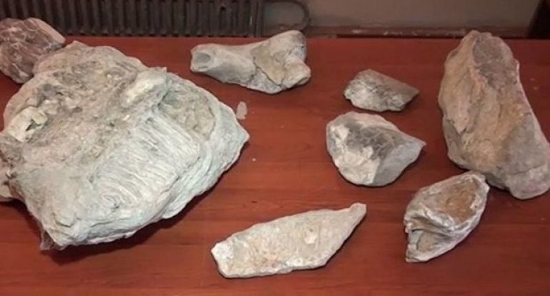 Mingəçevirdə 4 milyon illik fil sümükləri tapıldı