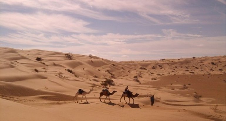 Sahara səhrasında 34 miqrantın meyidi tapılıb
