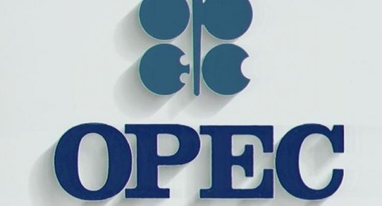 OPEC: Bu il Azərbaycan gündəlik 800 min barel maye qaz tədarük edəcək