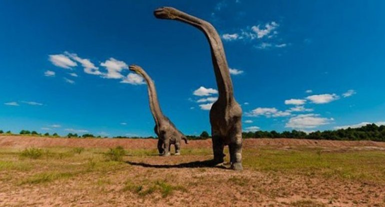 Dünyada ən iri dinozavr Orta Asiyada olub